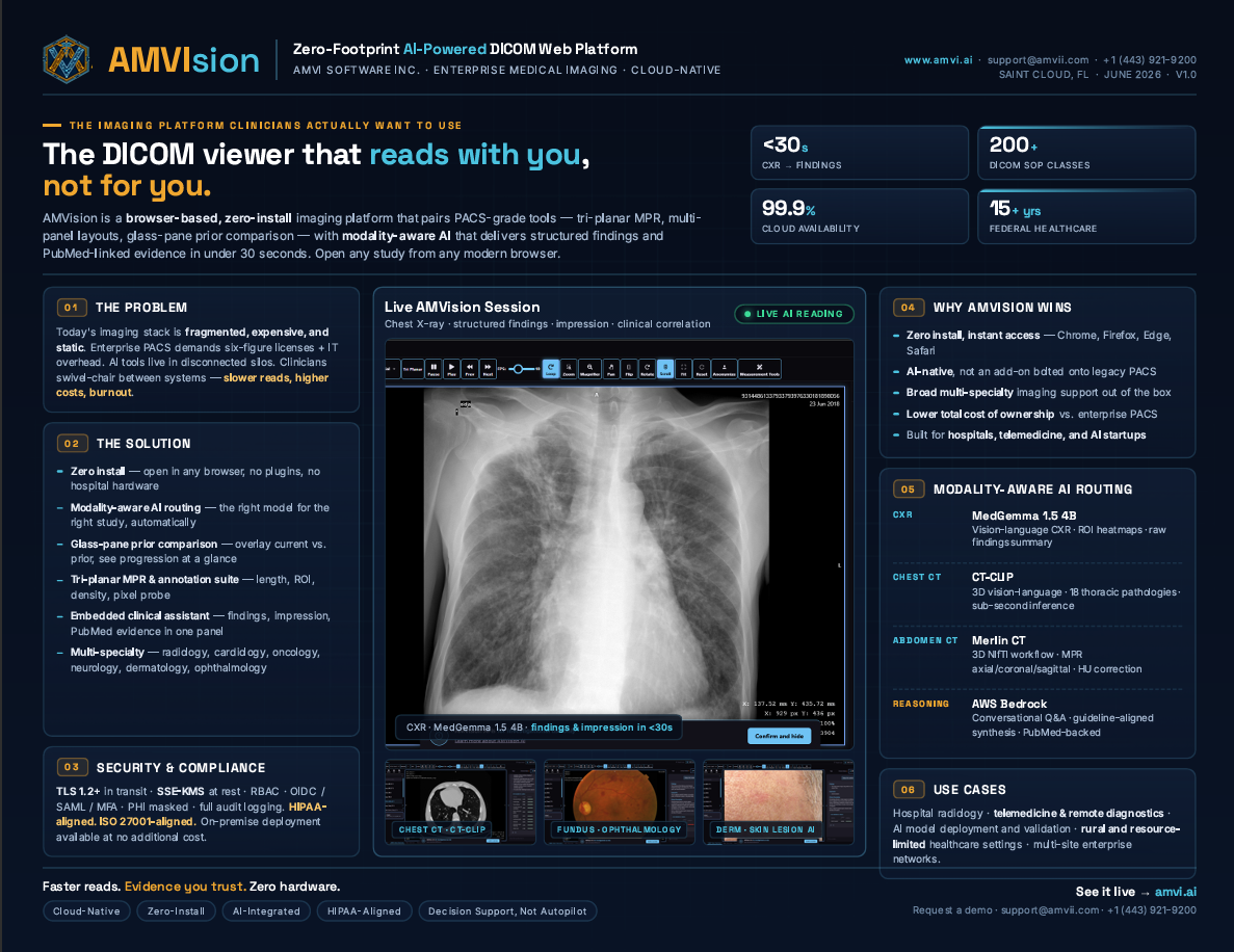 AMVIsion One Pager Preview