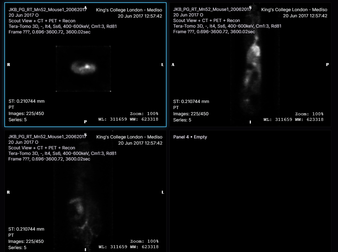 AI Medical Imaging Platform